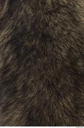 Photo Textures of Animal Skin